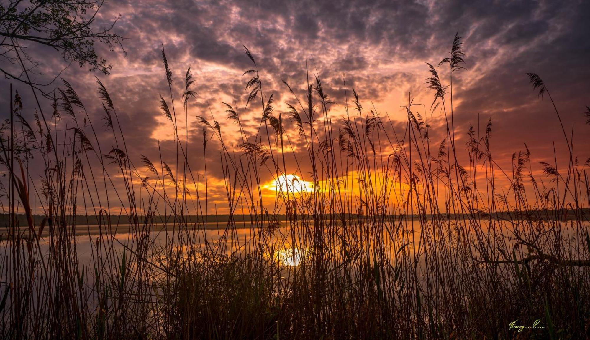 Vk Lake Aureilhan  المظهر الخارجي الصورة
